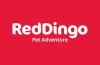 REDDINGO